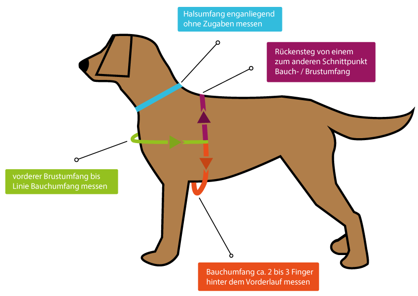 Hundegeschirre Maß nehmen