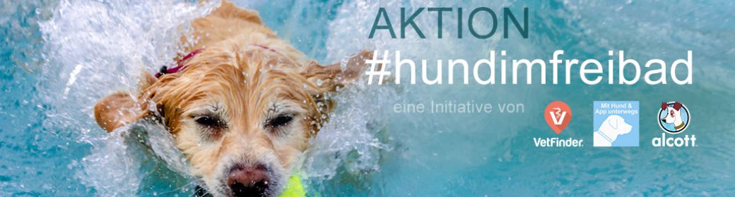 Hunde im Freibad