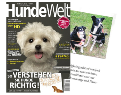 HundeWelt 2014