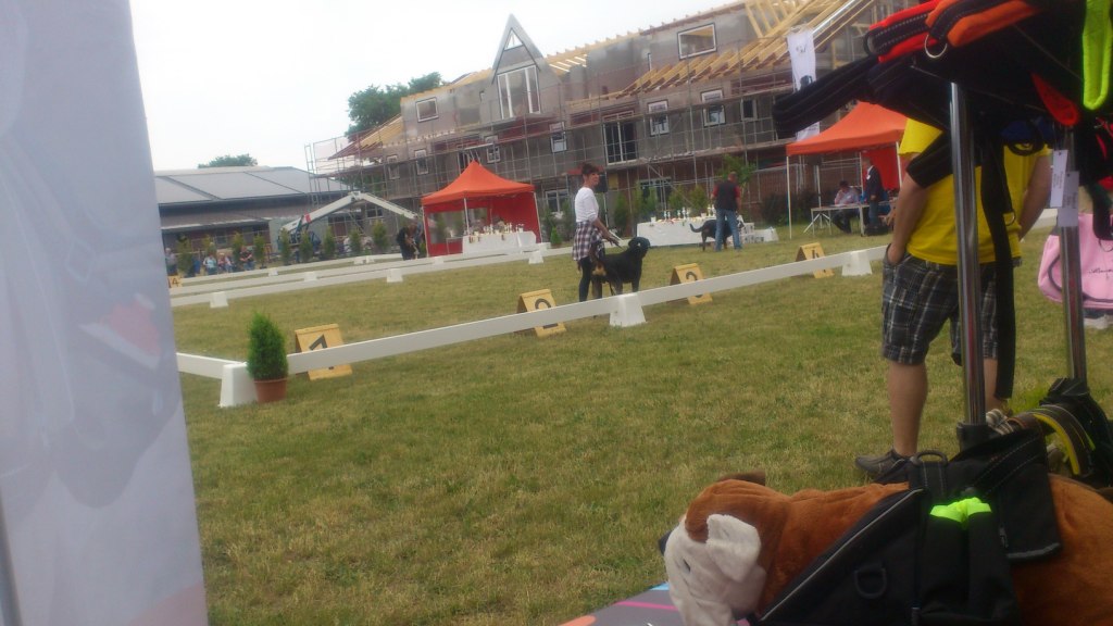 Rassehundeausstellung Sennenhunde e.V. in Münchehofe