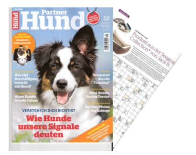 Partner Hund